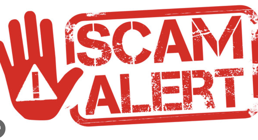 Beavocoin.com Exposed